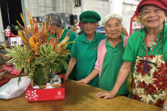 Waiau-Seniors-10_0