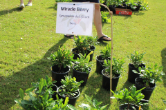 2017-11-02-21.11.42-1