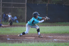 2015-12-27-04.08.07-1_0