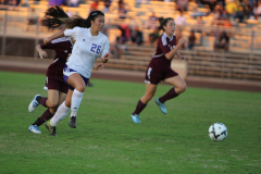 2016-02-03-06.21.27-3