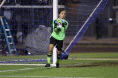 2016-02-03-06.39.48-3