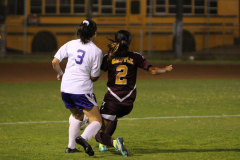 2016-02-03-06.46.11-2