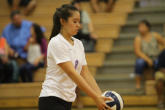 019_77