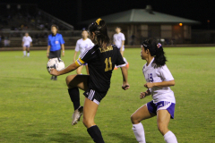 2016-02-05-07.52.30-1_0