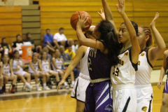 2015-12-14-07.33.19_0