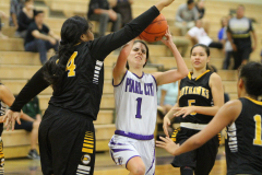 2016-01-12-07.58.51-1_0