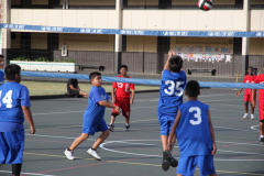 IMG_9558_0