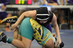 2016-11-24-23.13.25-3