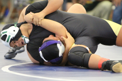 2016-11-24-23.13.44-1