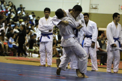 2016-04-08-03.45.40-2