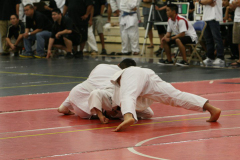 IMG_6877_2