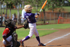 2016-06-12-03.23.45-2_0