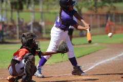 2016-06-12-03.35.02-1_0