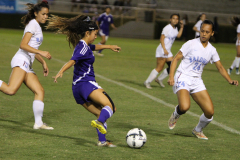 2016-02-19-07.47.50-4