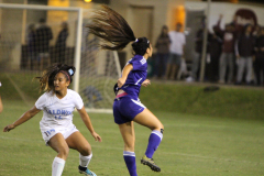 2016-02-19-08.03.18-2