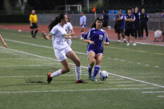 2016-01-24-06.31.40-1