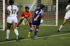 2016-01-24-06.44.06-2