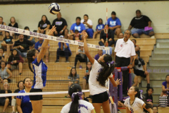 2015-10-12-07.19.15-1