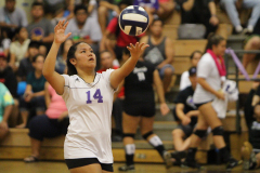 2016-10-03-07.14.52-3