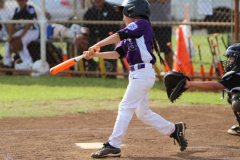 2015-06-15-04.33.03-1