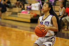 2017-01-12-06.43.22-4