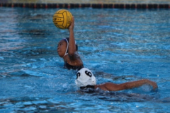 2016-04-05-06.22.31-1