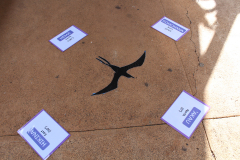 006_75