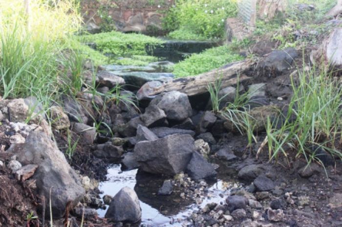 Rotary Club of Pearlridge sponsored Youth Interact Club students make a difference clearing the way for fresh water to flow