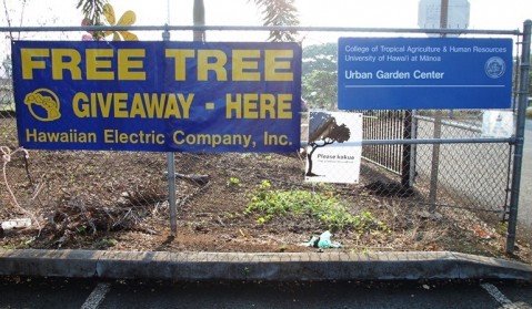 Arbor Day Free Tree Giveaway and Plant Sale at Urban Garden Center in Pearl City