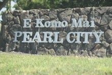 Dengue fever virus buzzes Pearl City