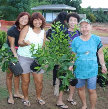 Hawaiian Electric Arbor Day Tree Giveaway, Sat. Nov.8