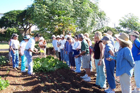 UH Urban Garden Center Annual Plant & Produce Sale