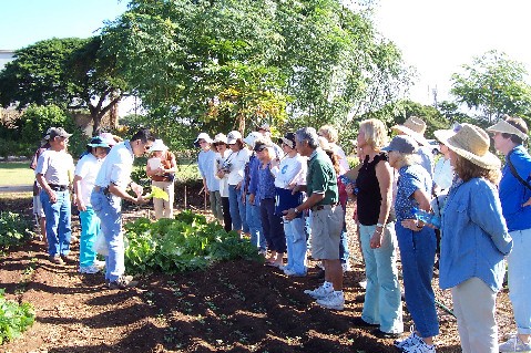 How to grow Mangos at the UH Urban Garden Center